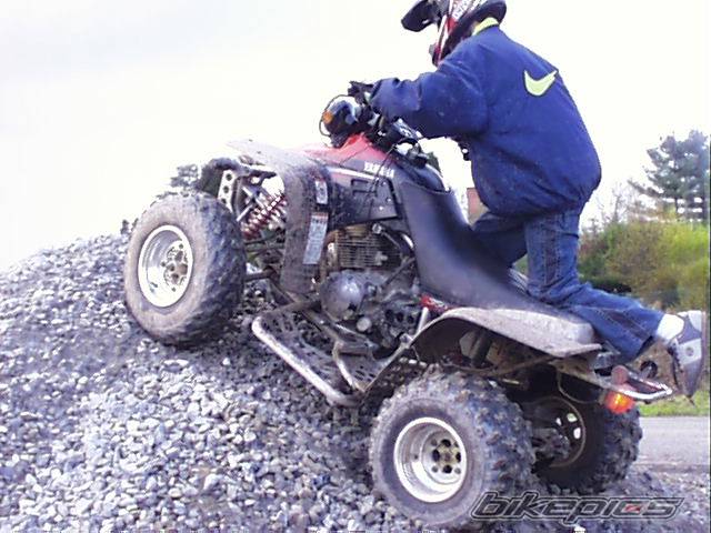 Photo 250240