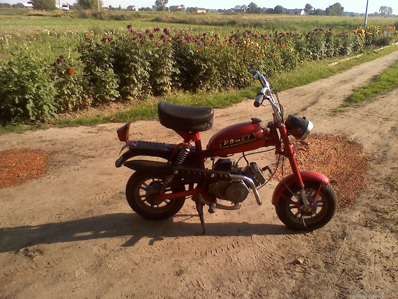 Photo 2502420