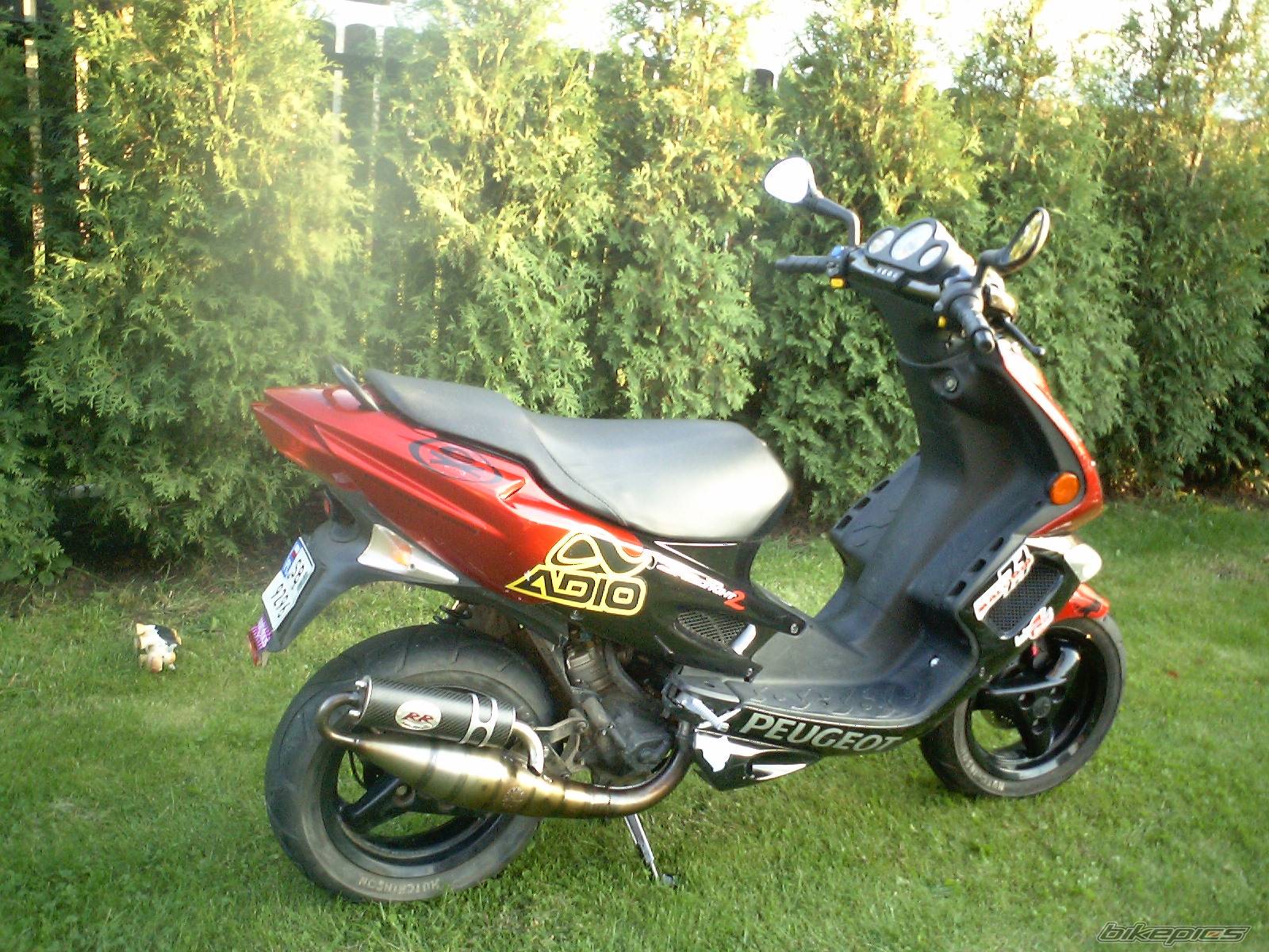 Photo 250249