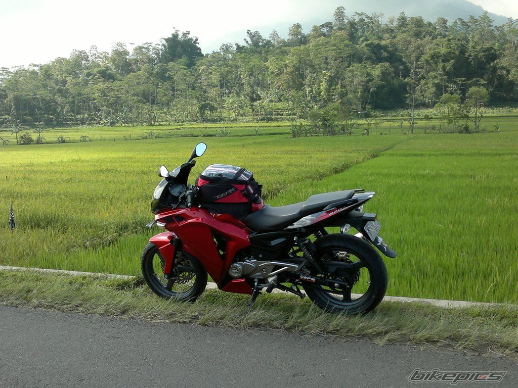 Photo 2502654