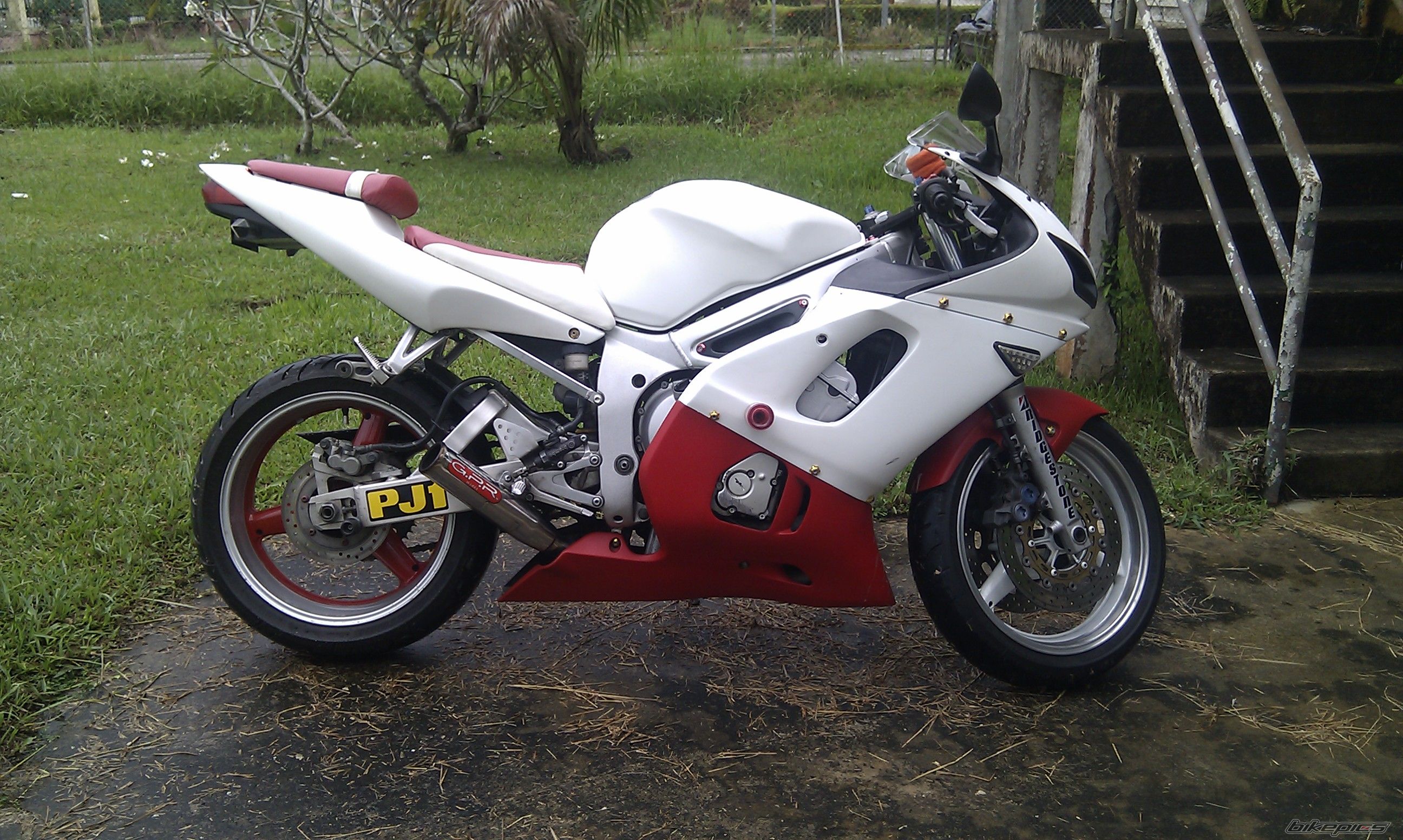 Photo 2502666