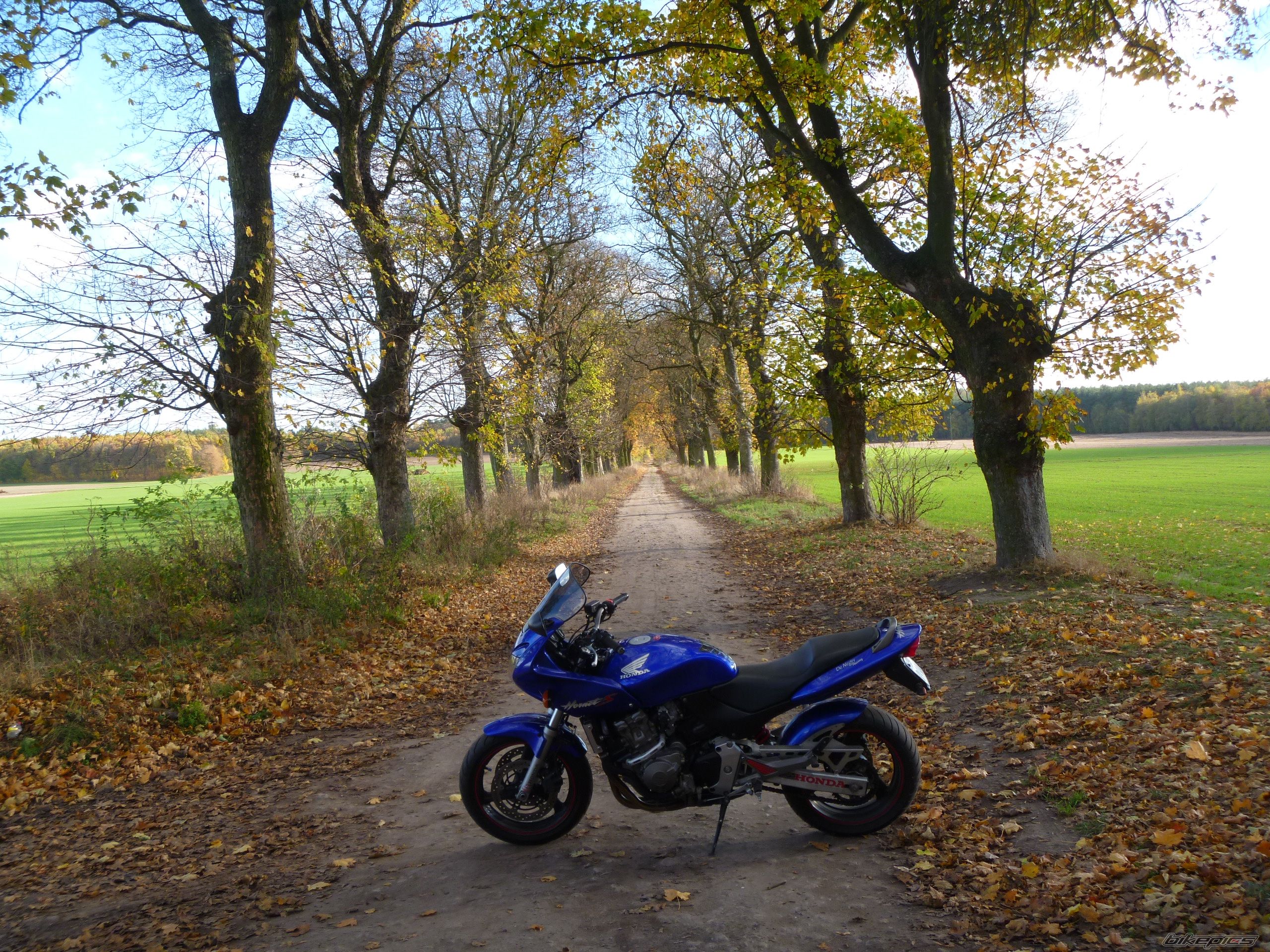 Bike Photo 2502924