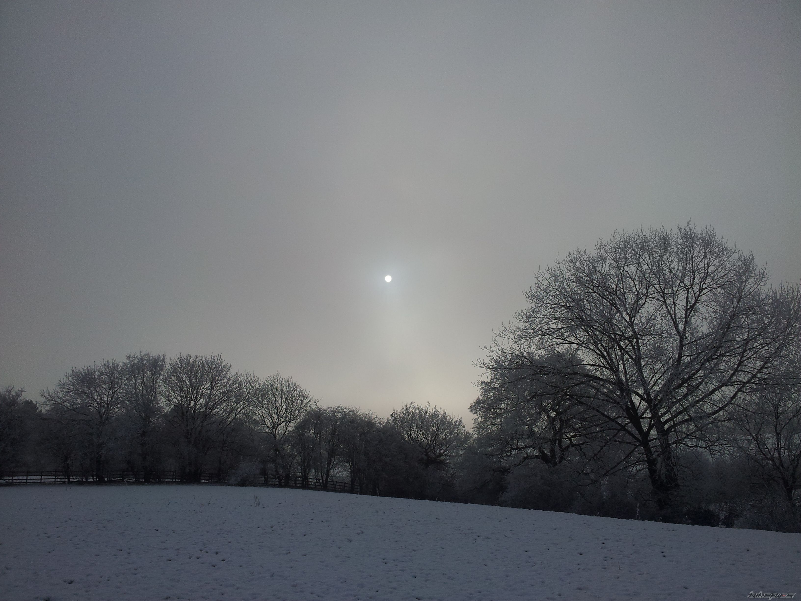 Photo 2503056