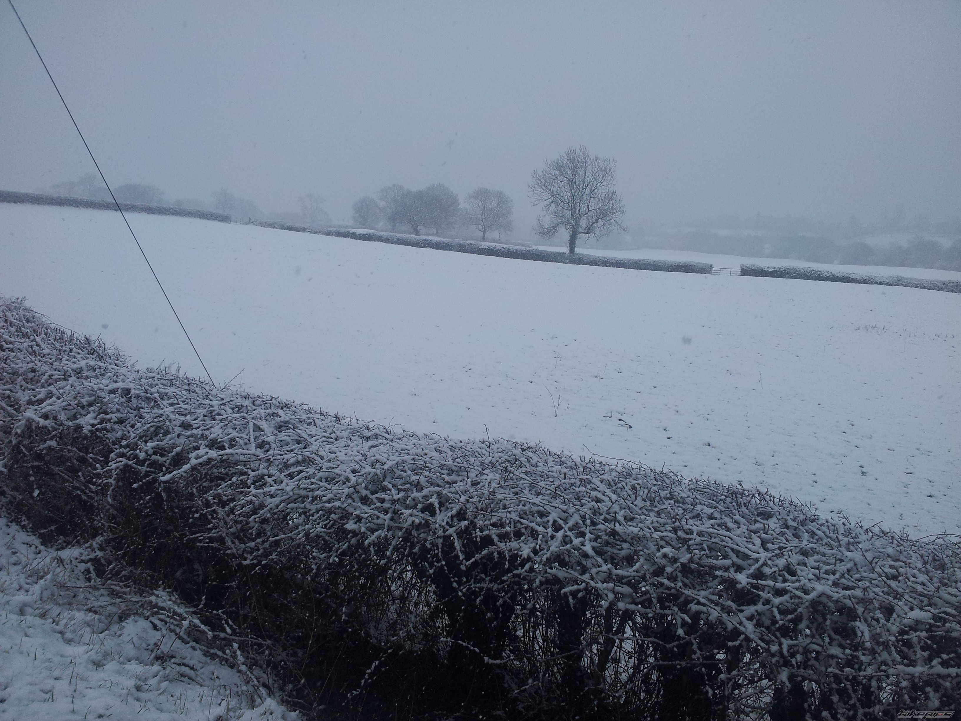Photo 2503065