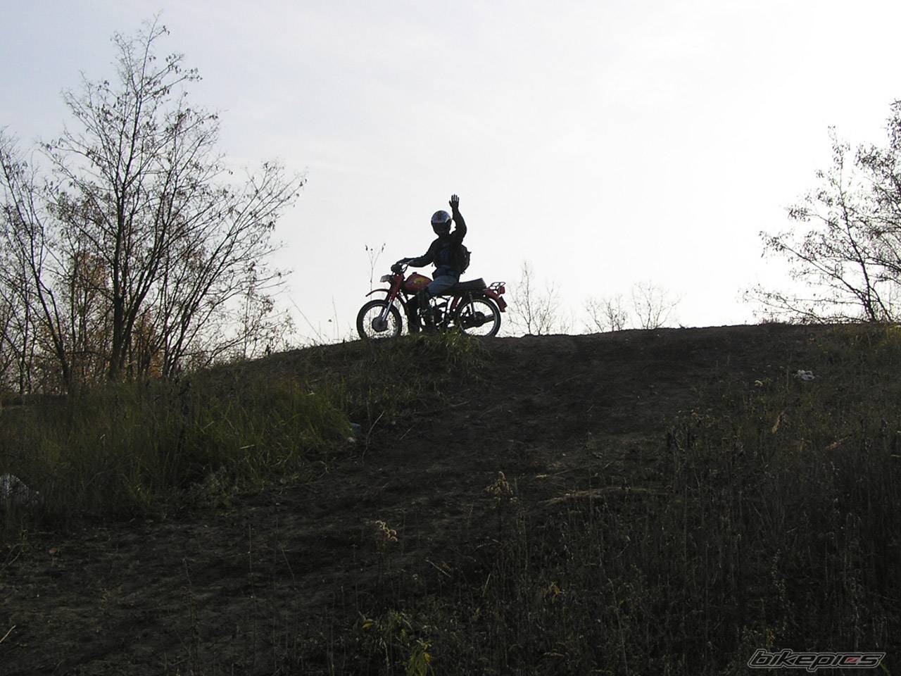 Photo 250307