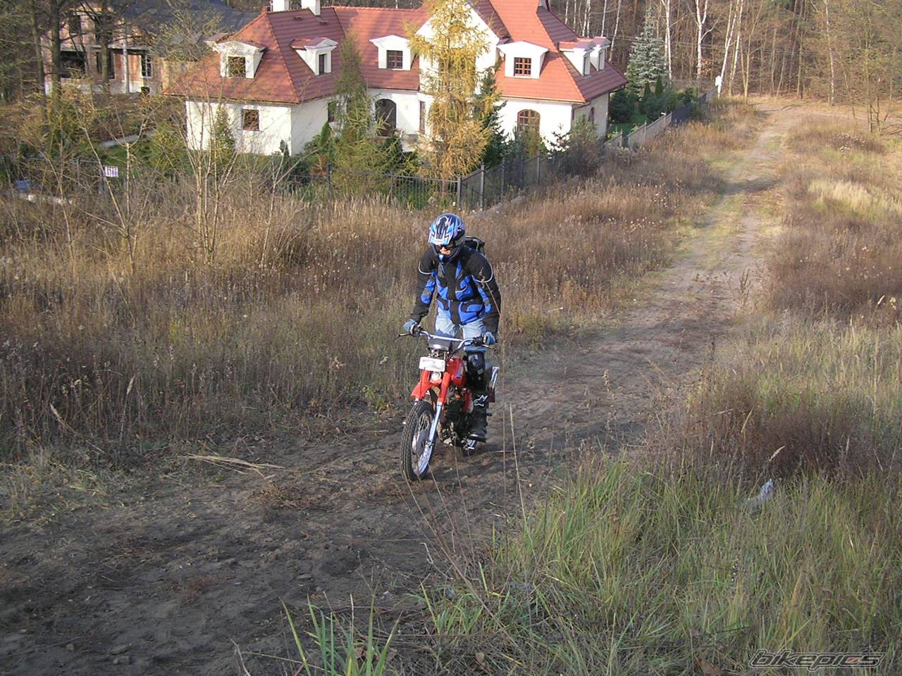 Photo 250312
