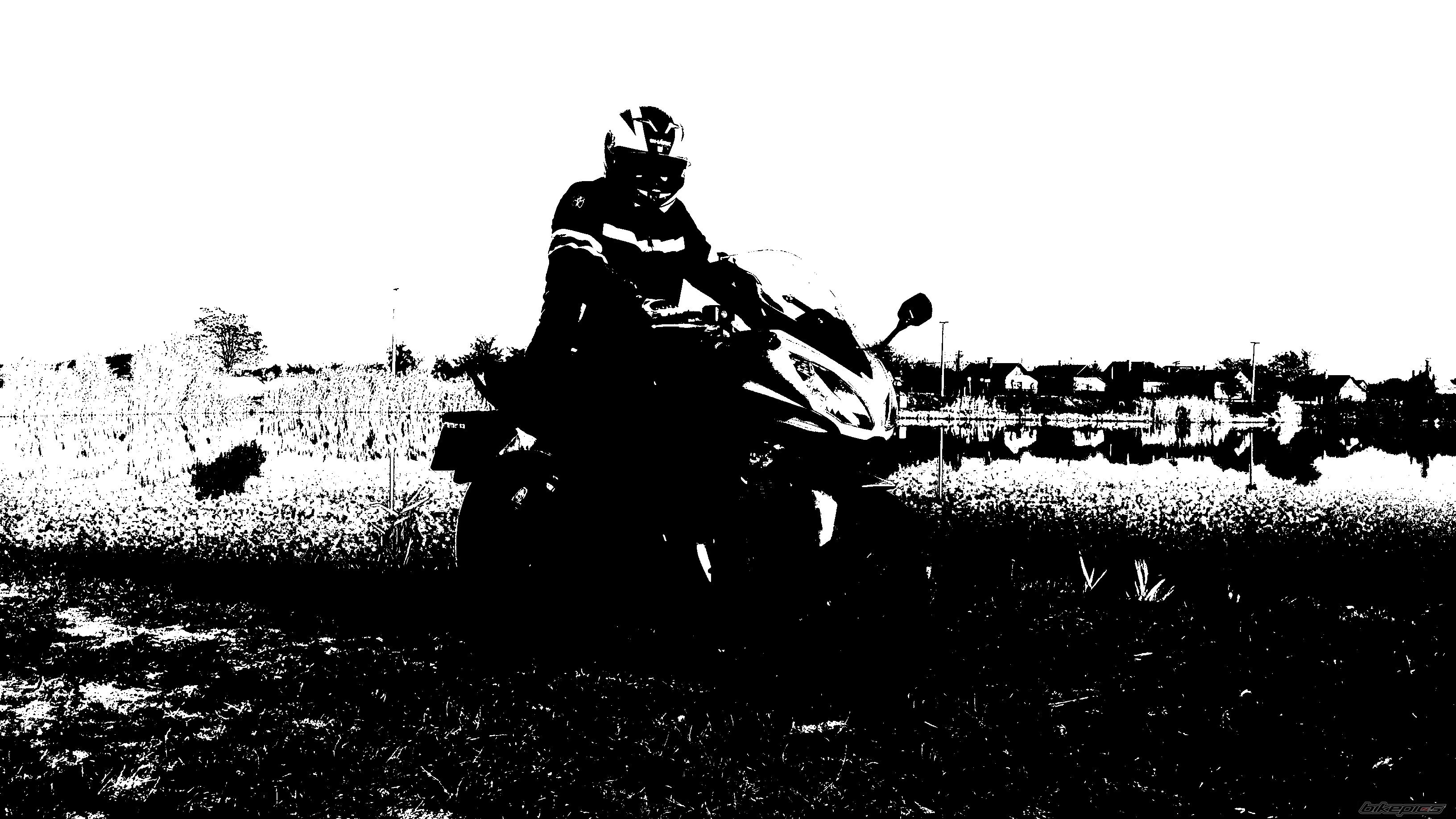 Photo 2503149