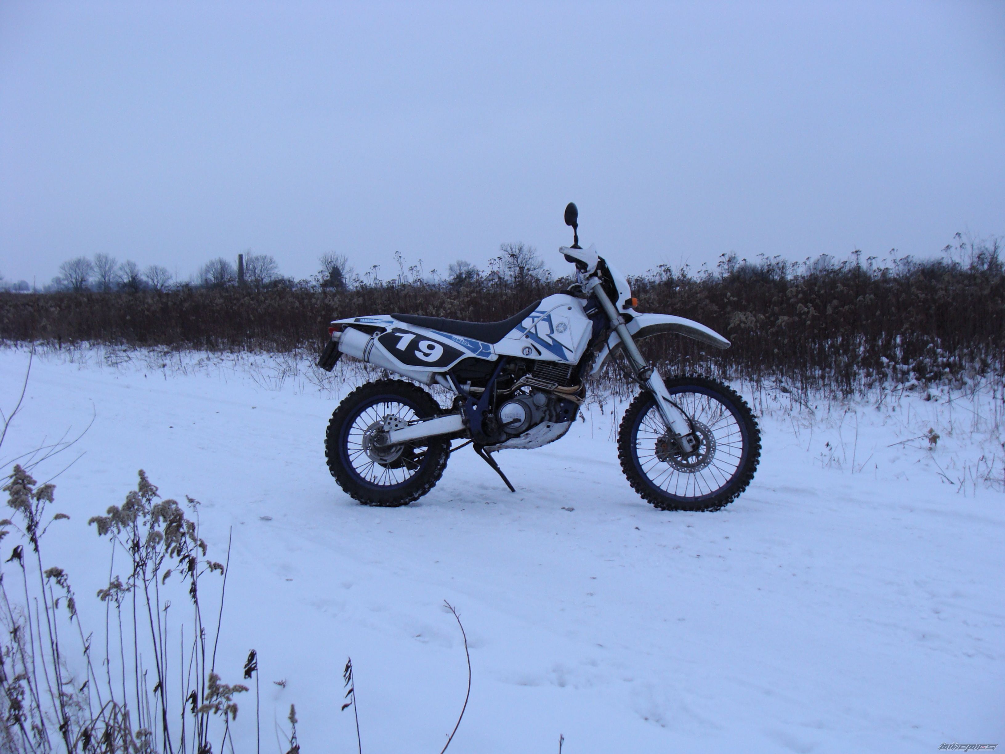Photo 2503238
