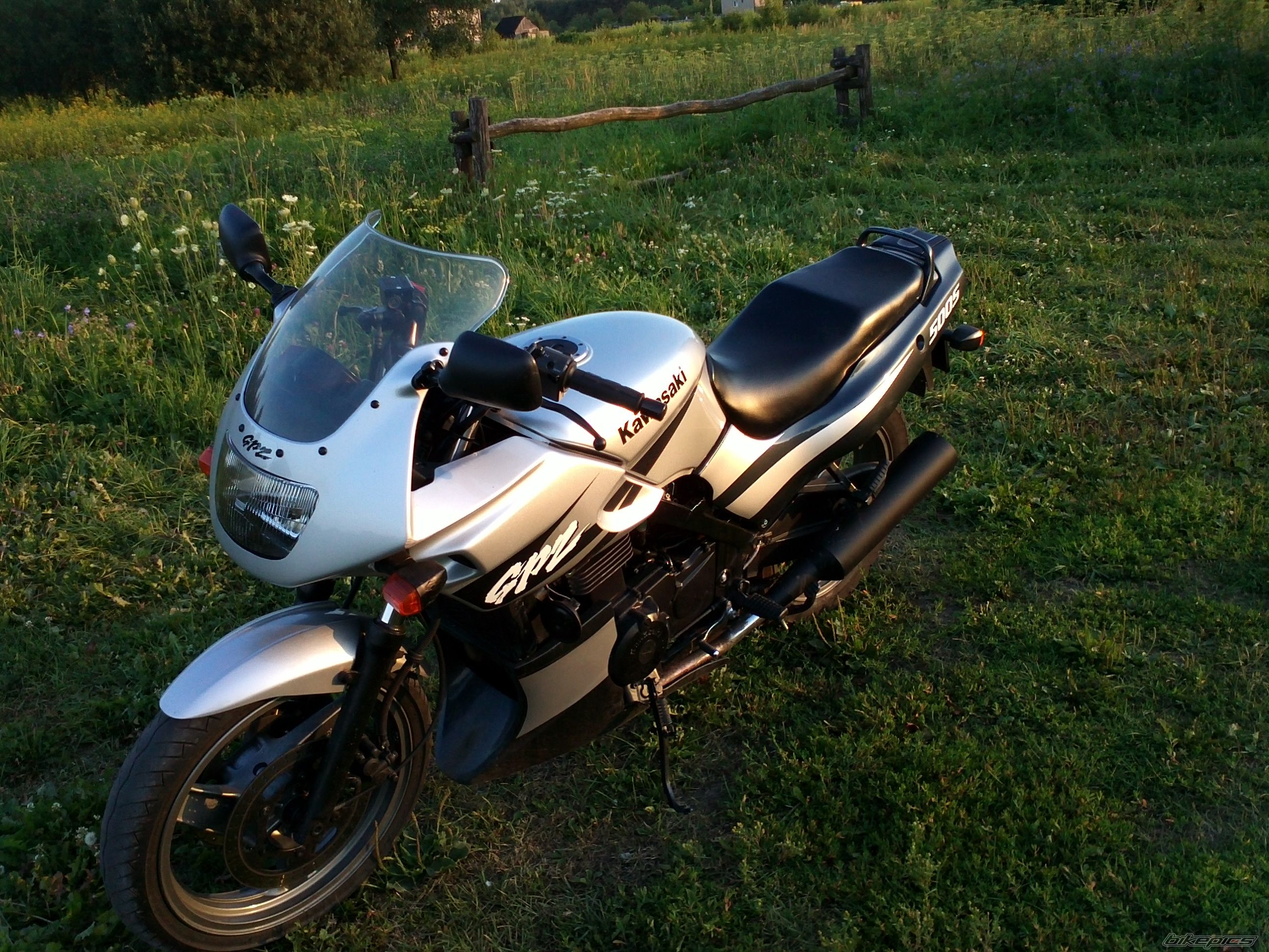 Photo 2503329