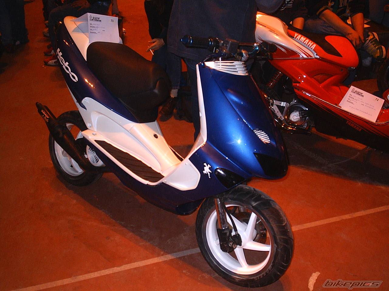 Bike Photo 250335