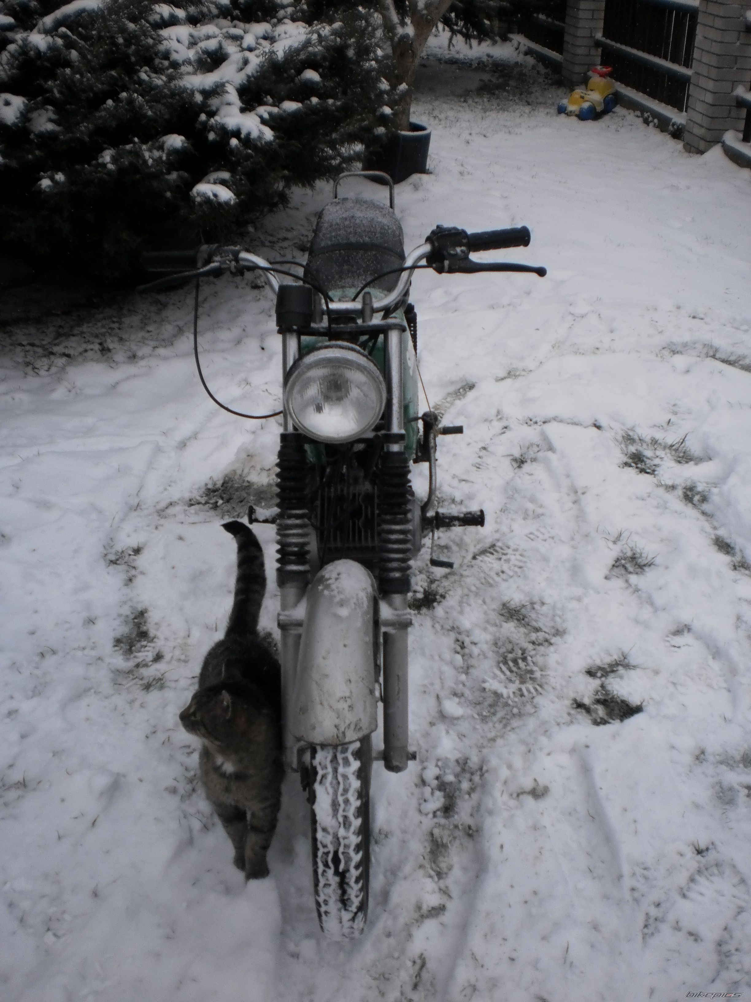 Bike Photo 2503382
