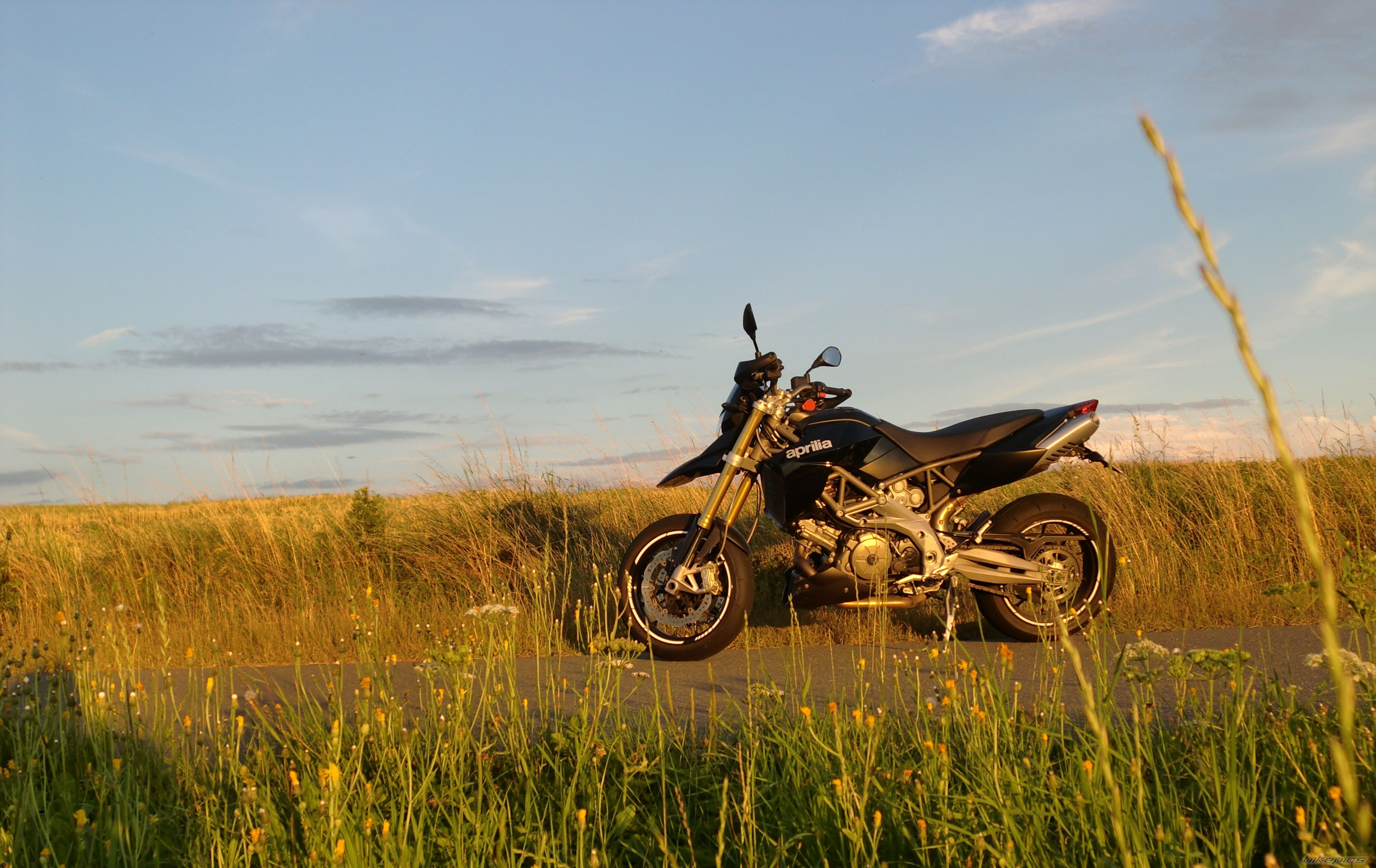 Photo 2503393
