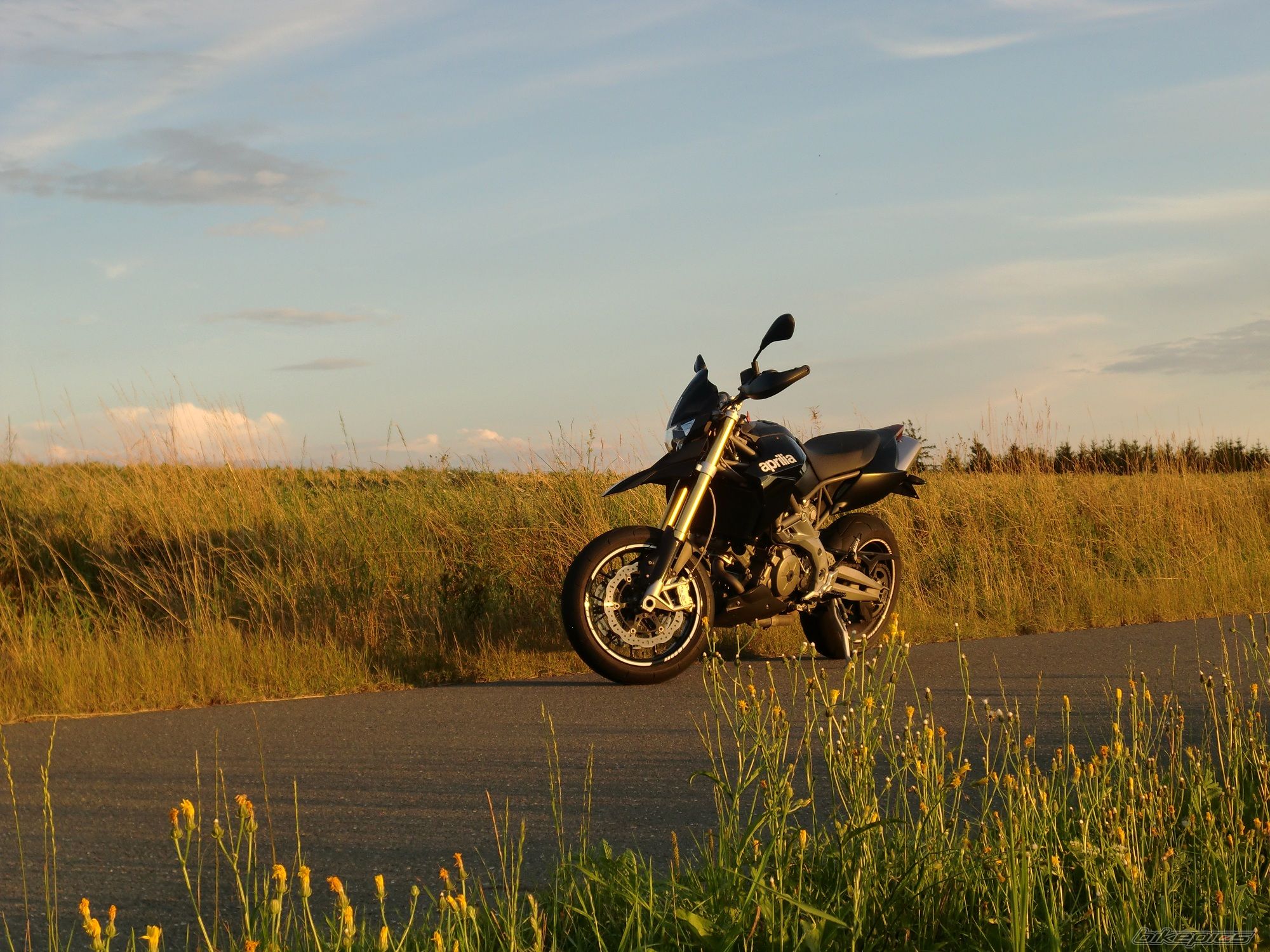 Photo 2503395