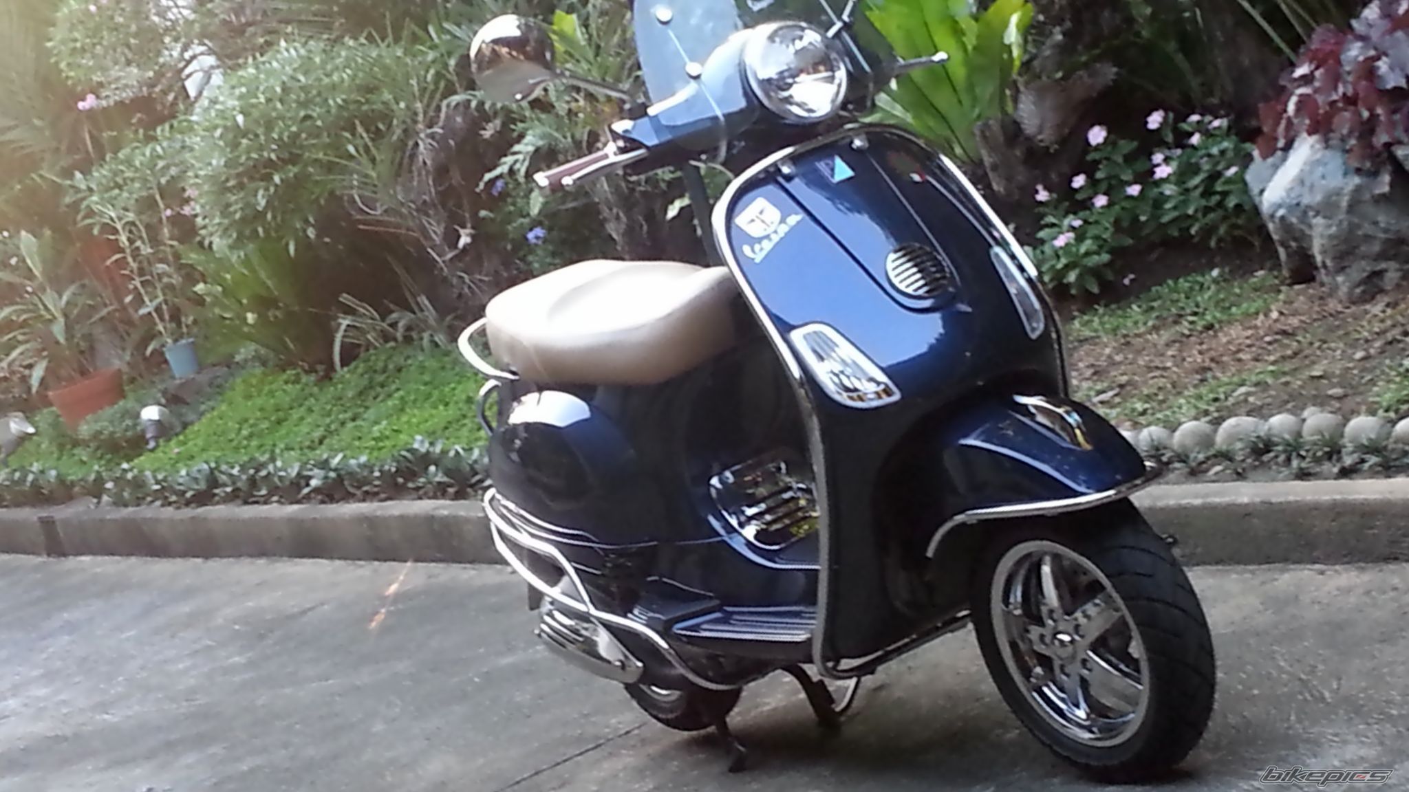 Photo 2503519