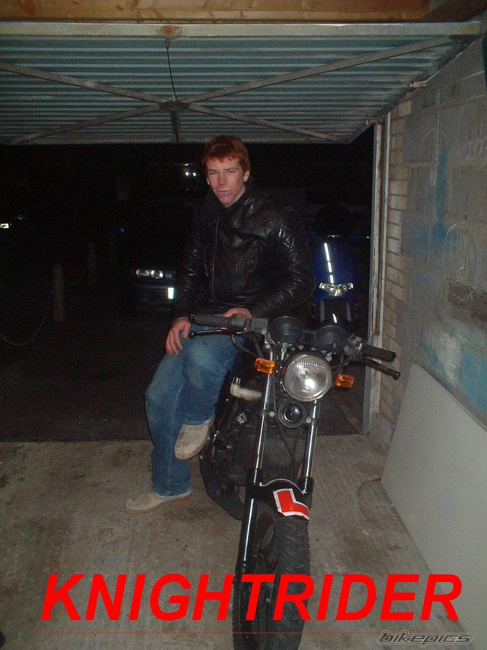 Photo 250361