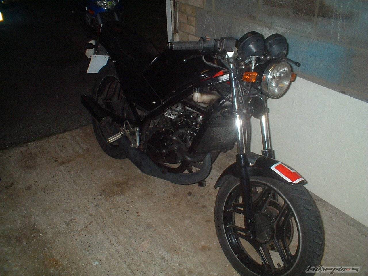 Photo 250362