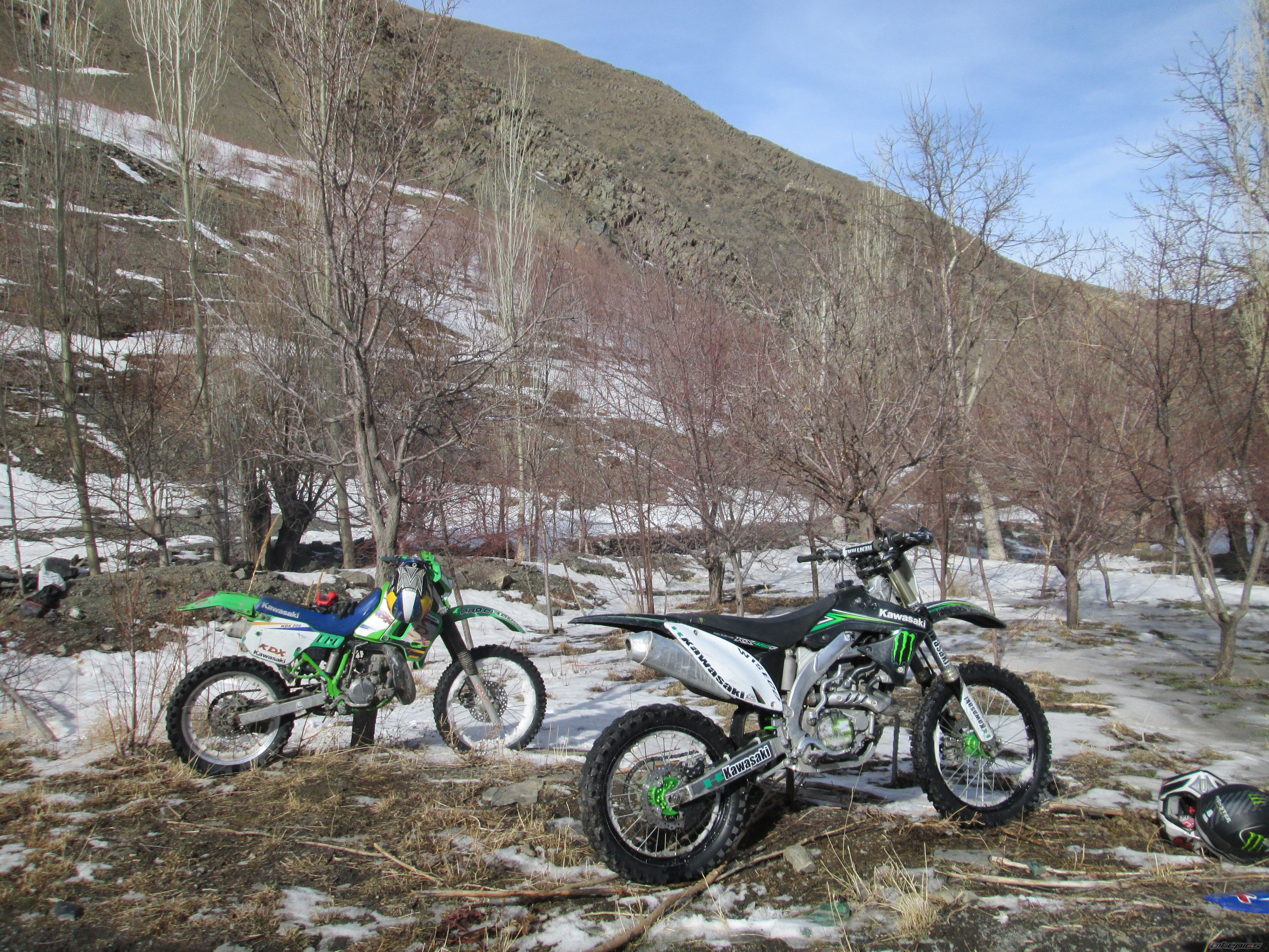 Photo 2503650