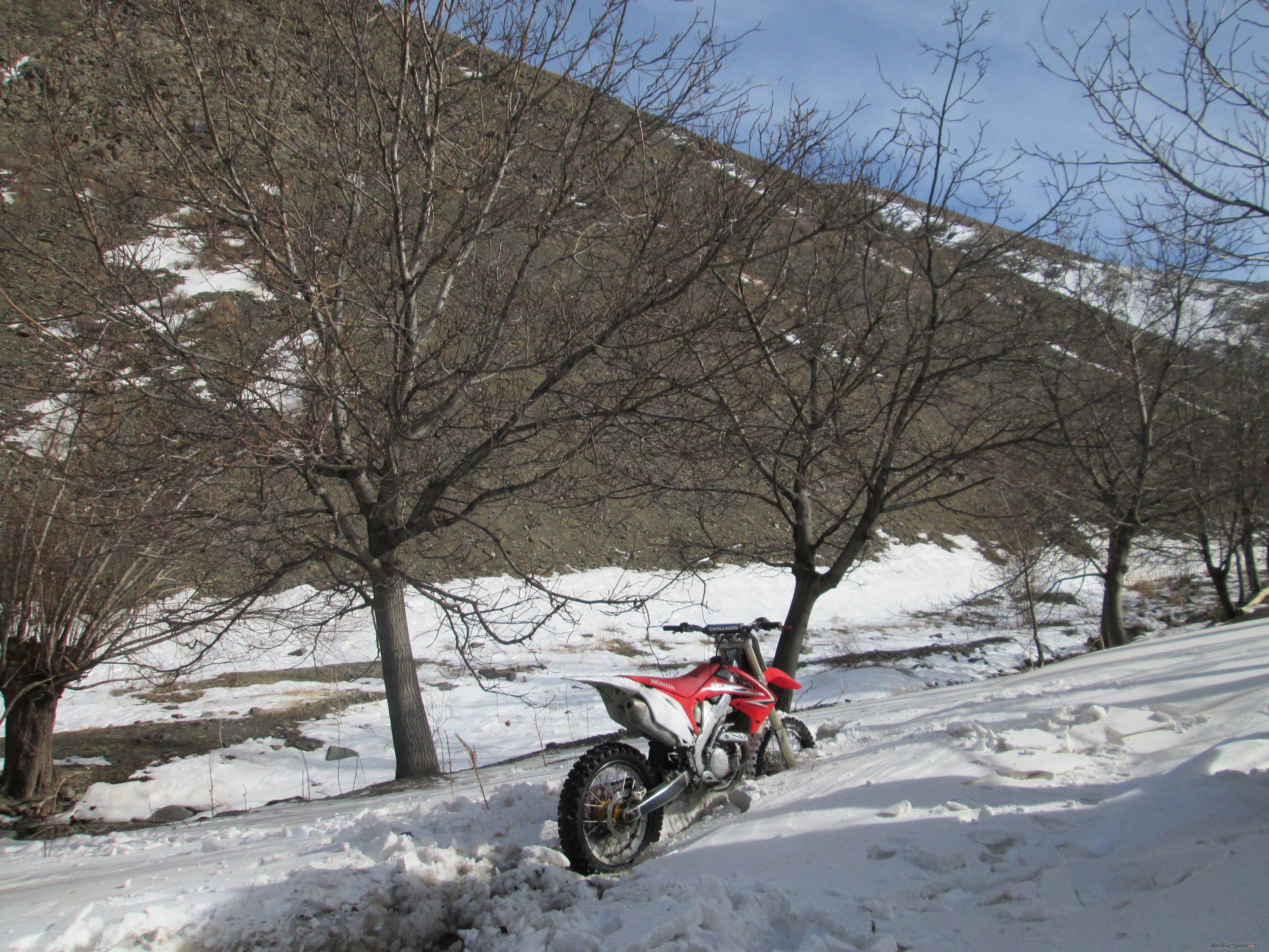 Photo 2503651