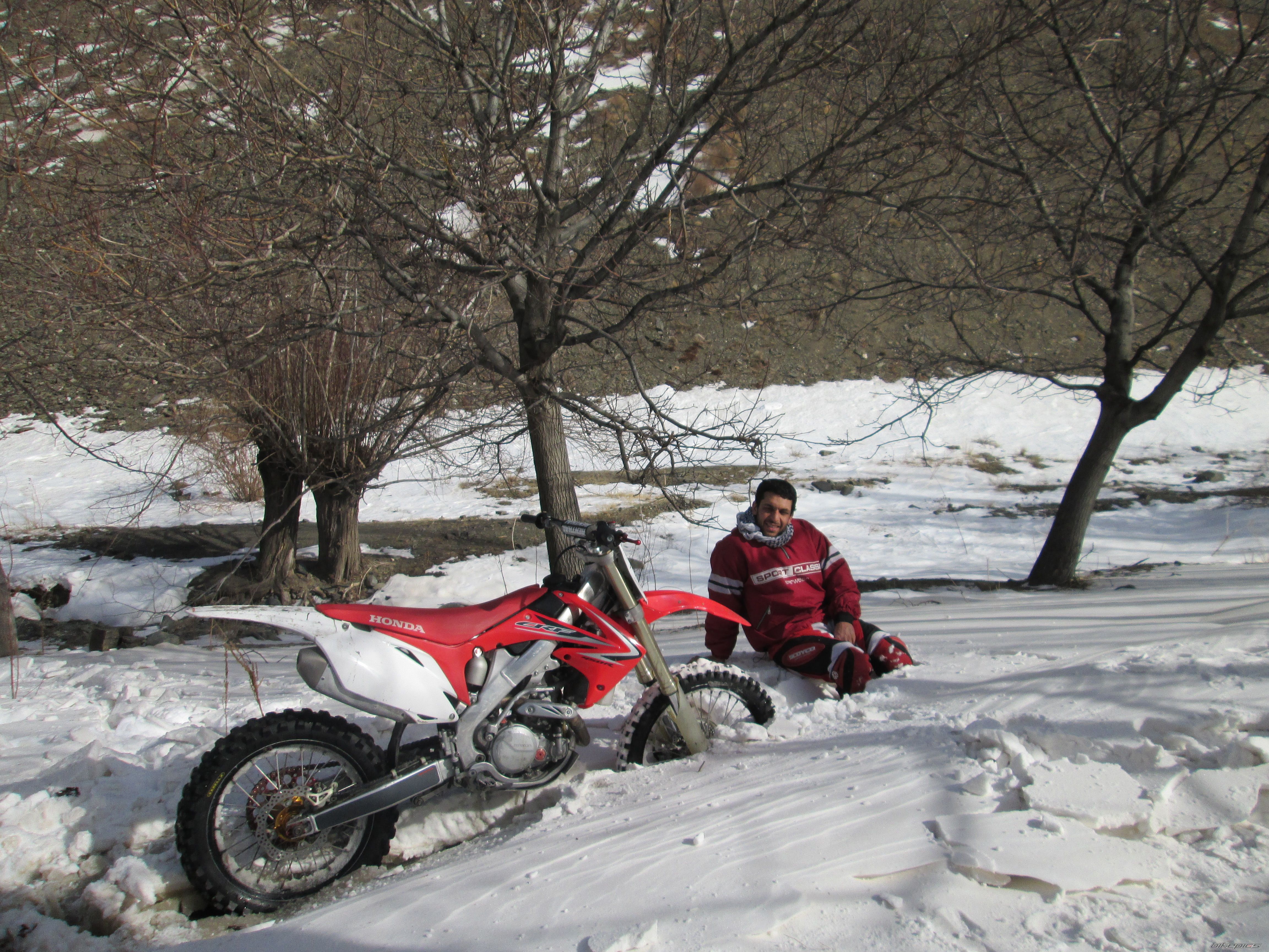 Photo 2503659
