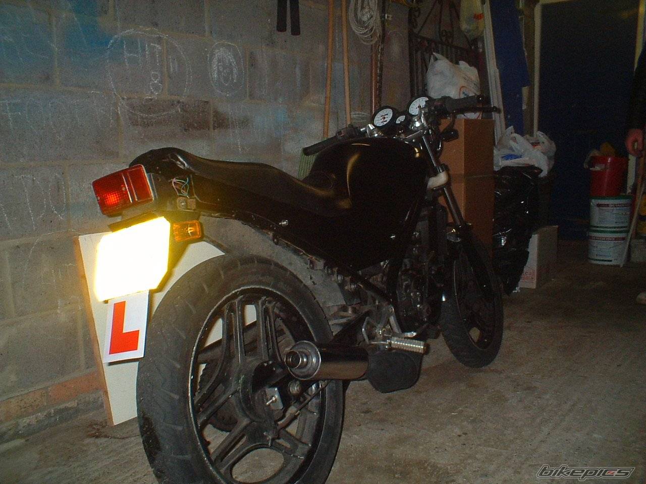 Photo 250369