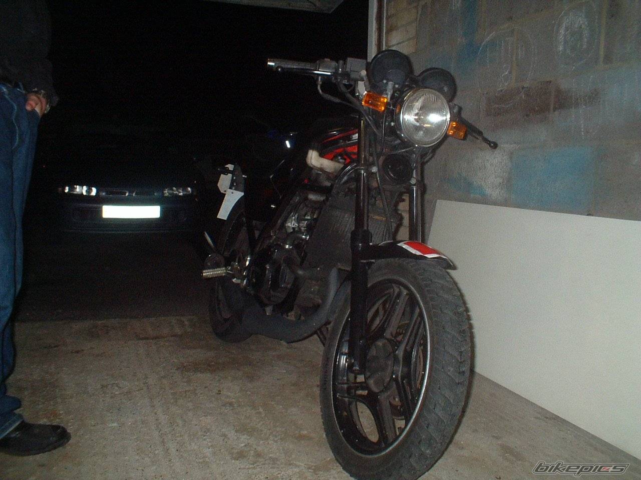 Photo 250371