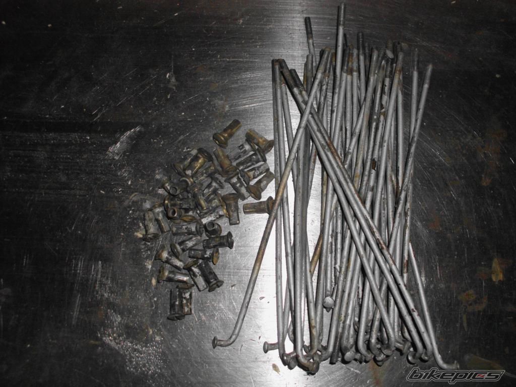 Photo 2503753