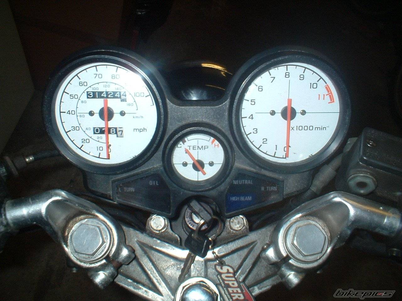 Photo 250377