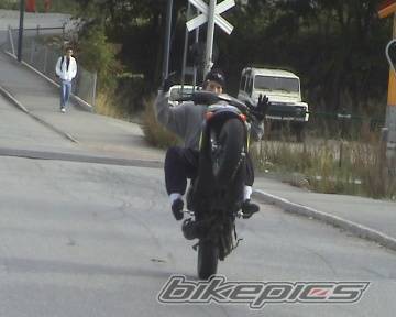 Photo 250384