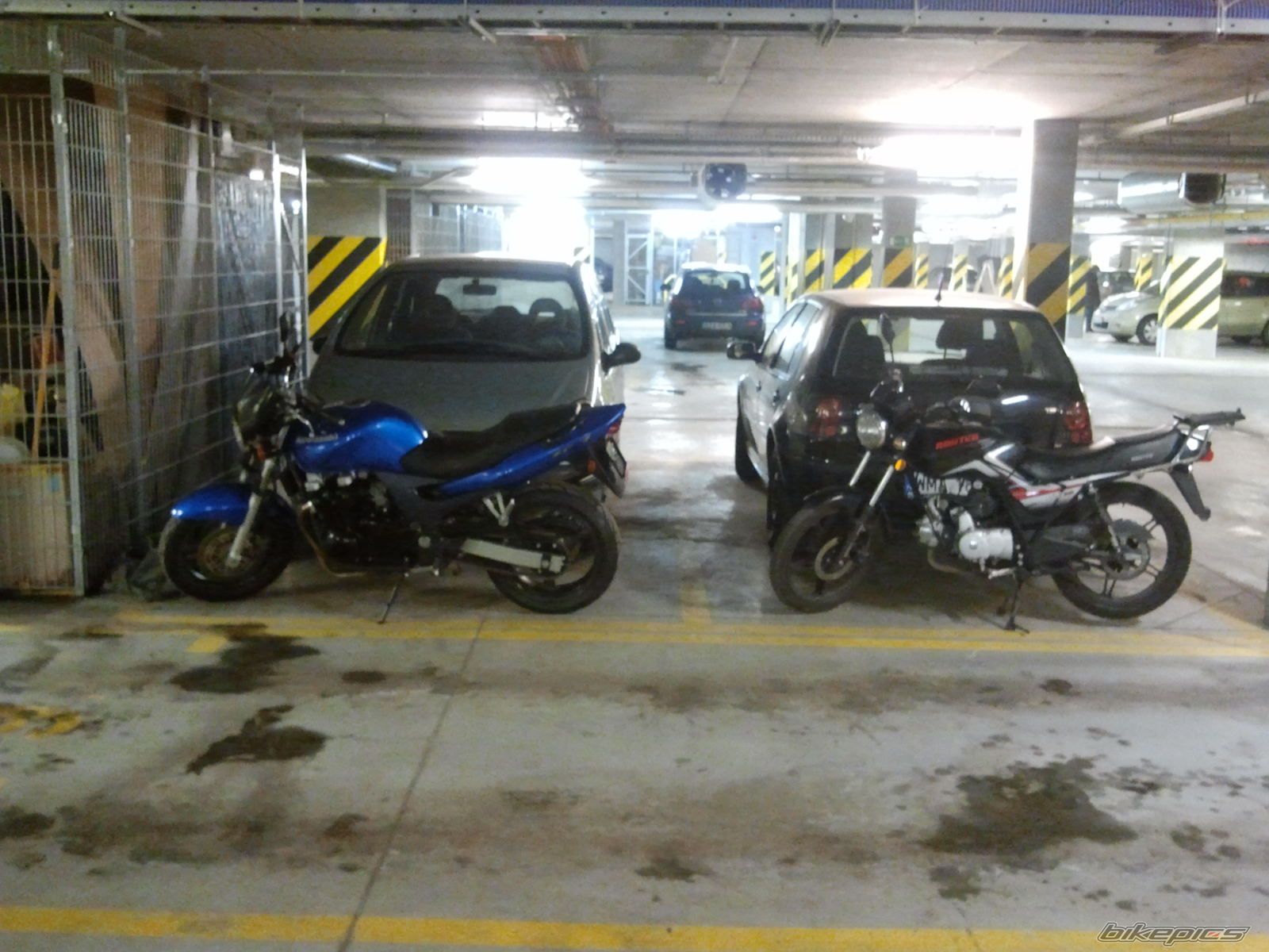 Photo 2503865