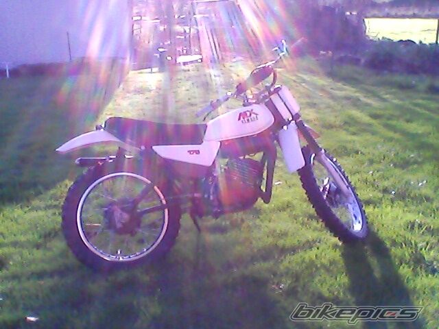 Photo 2503875