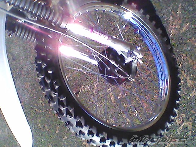 Photo 2503876