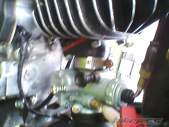 Photo 2503878