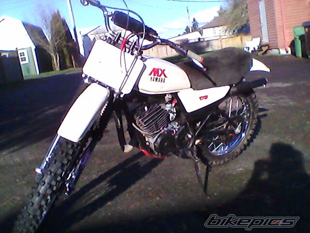 Photo 2503879