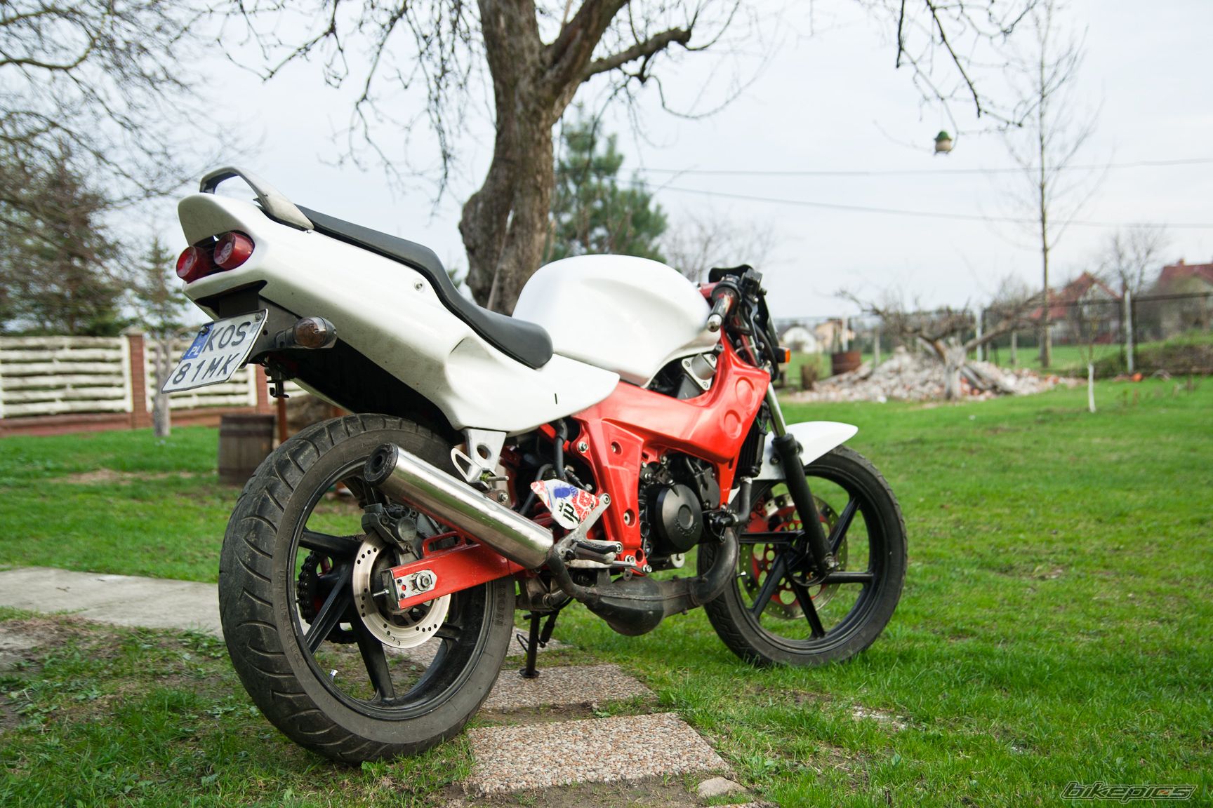 Photo 2504101