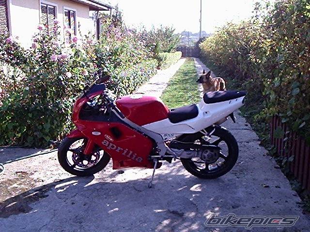 Photo 250419