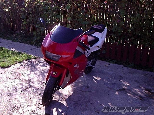 Photo 250420