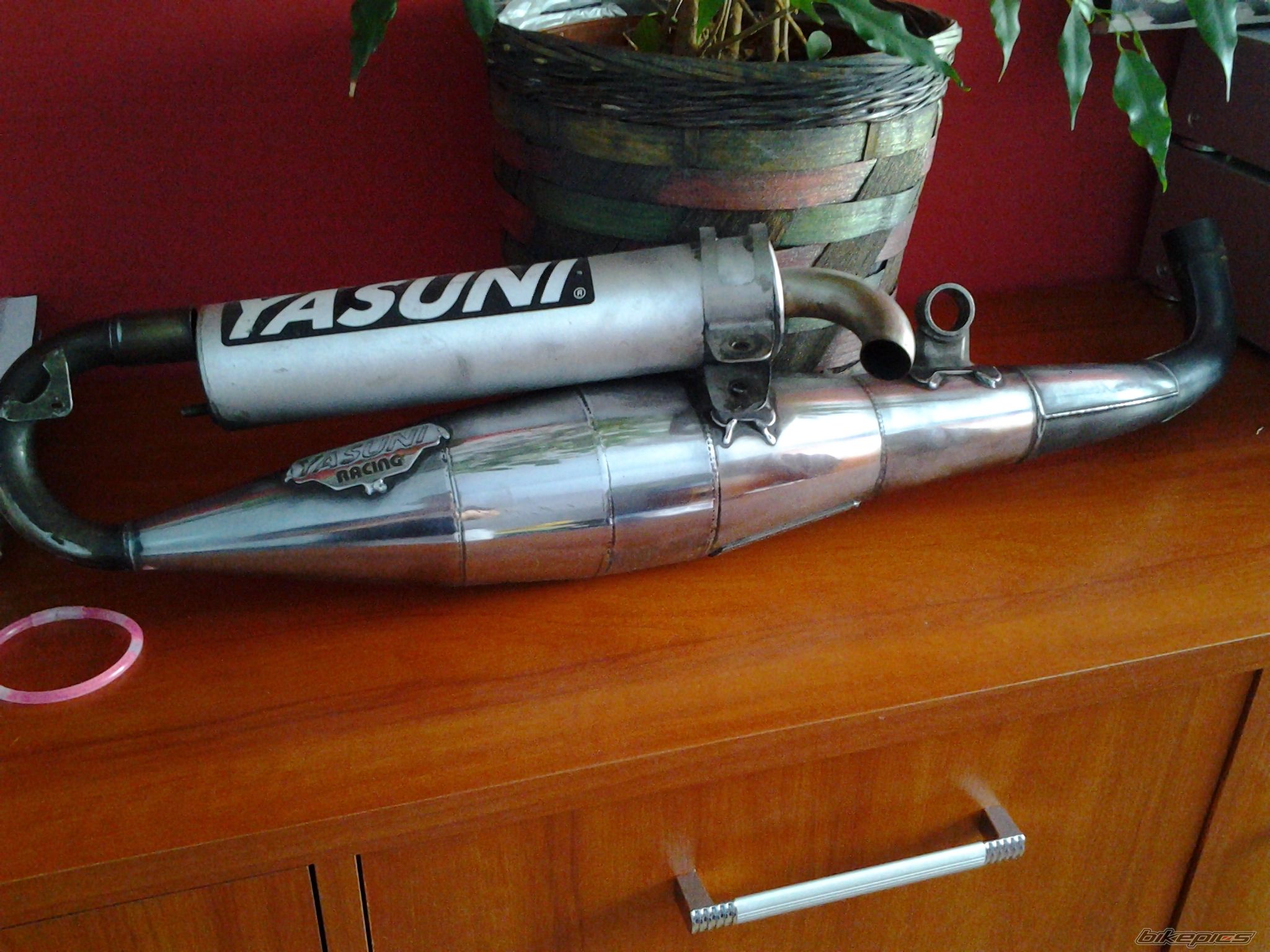 Photo 2504251