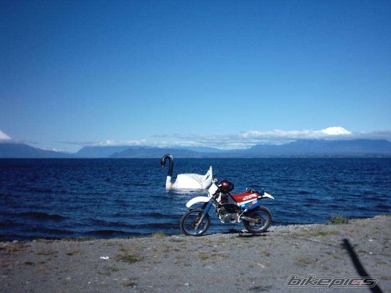Photo 250434