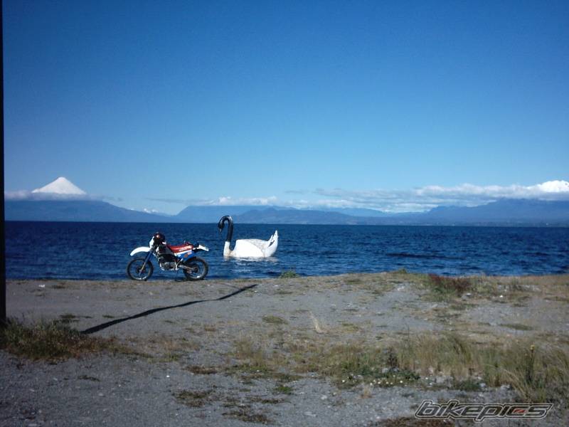 Photo 250436