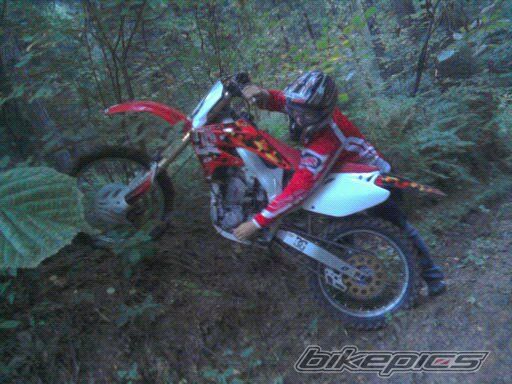 Photo 2504472