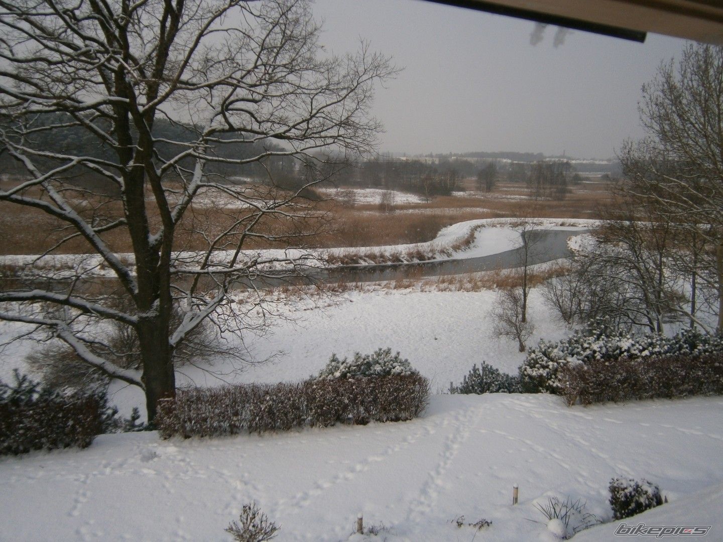 Photo 2504686