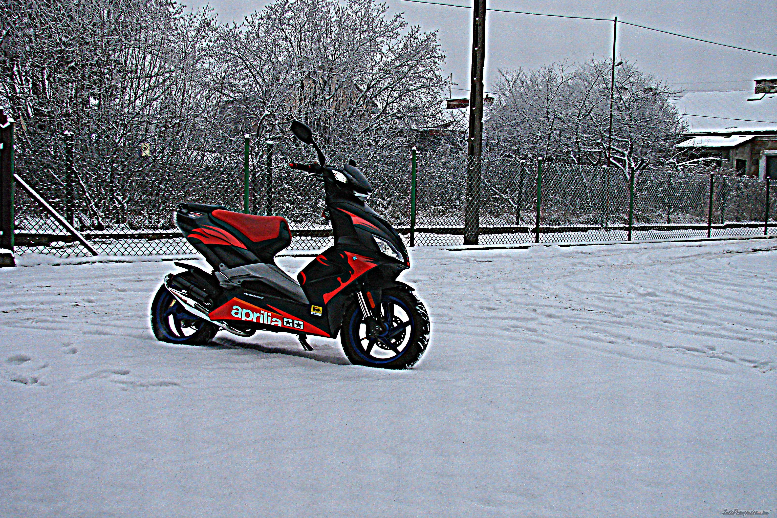 Photo 2504749
