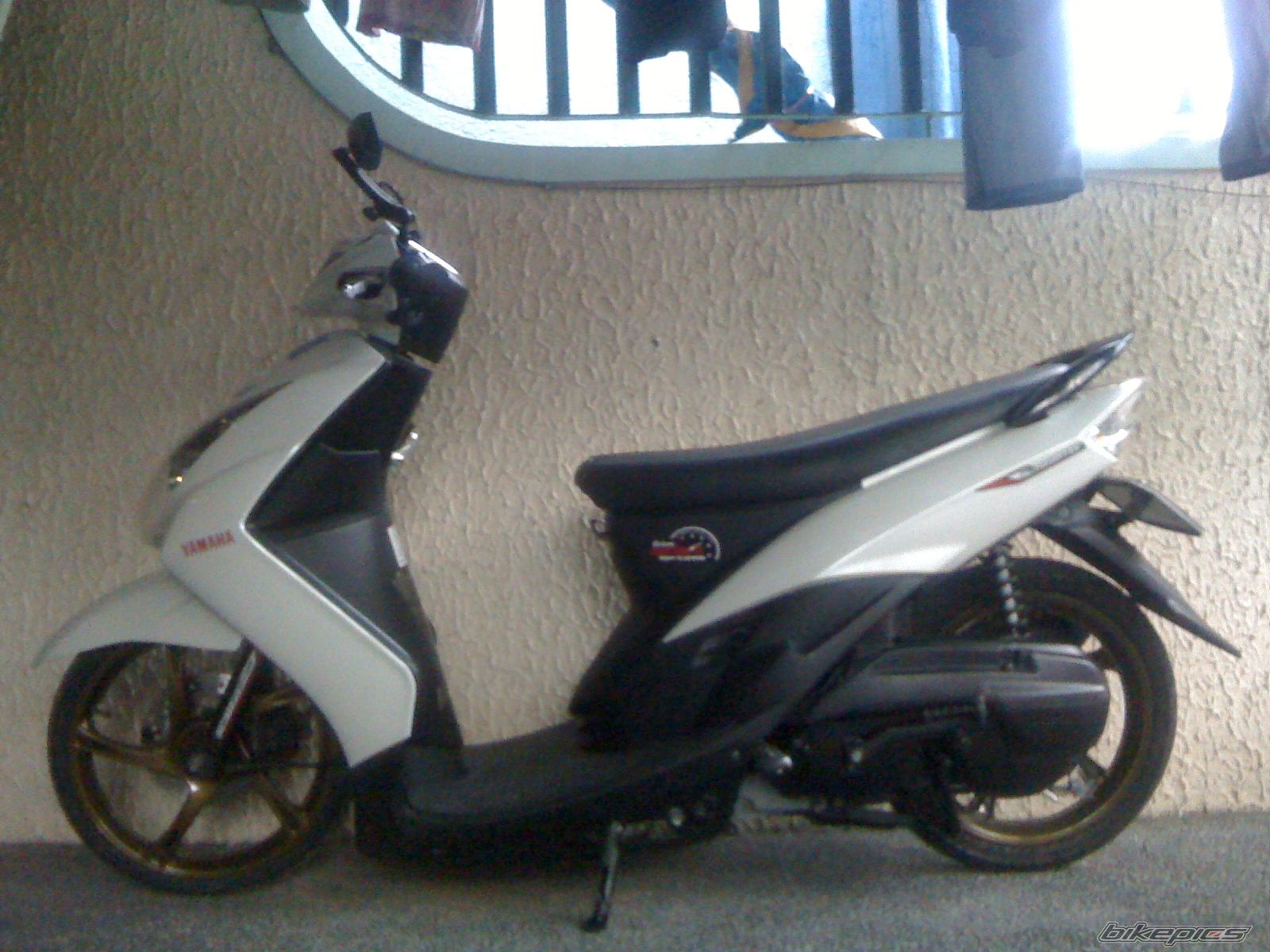 Photo 2505164