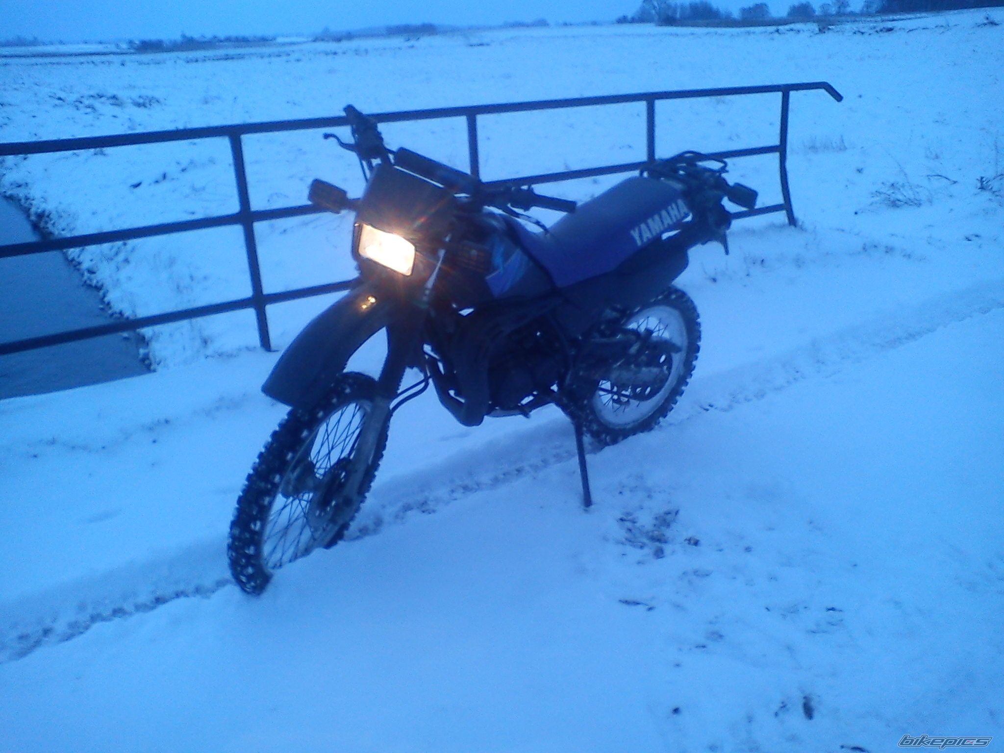 Photo 2505235