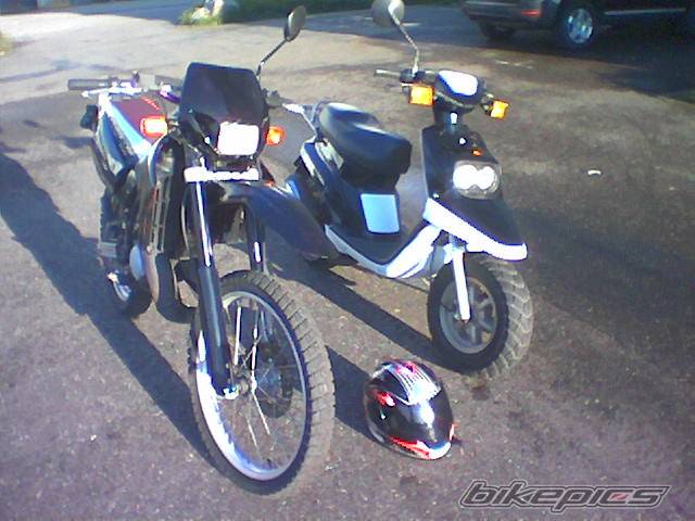 Photo 250535