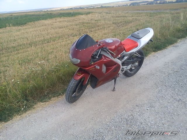 Photo 2505419