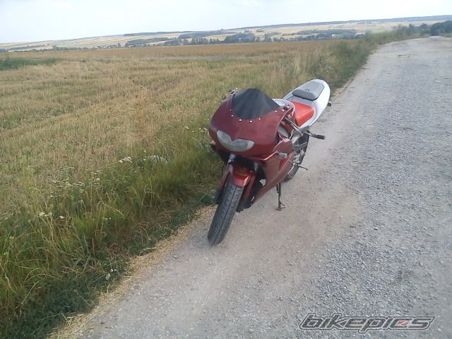 Photo 2505421