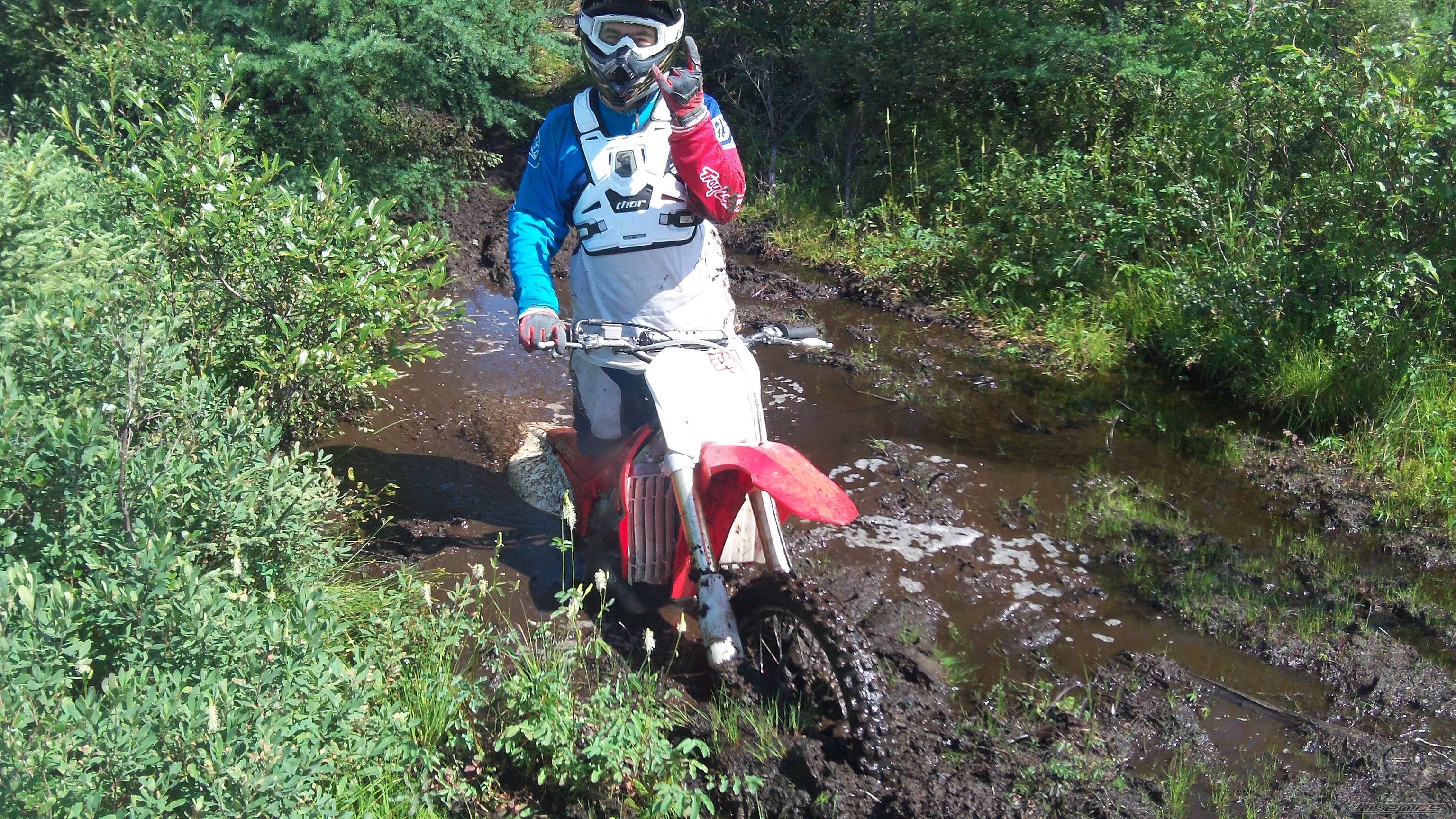 Photo 2505444