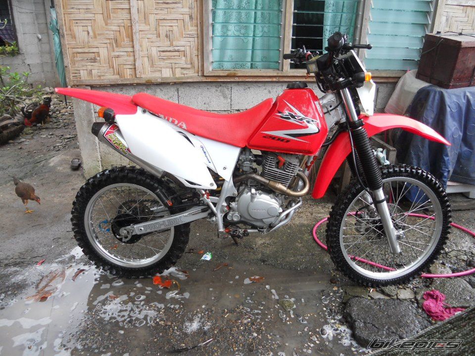 Photo 2505445