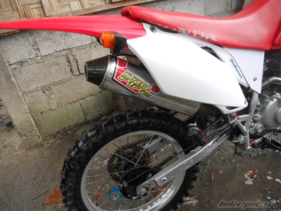 Photo 2505447